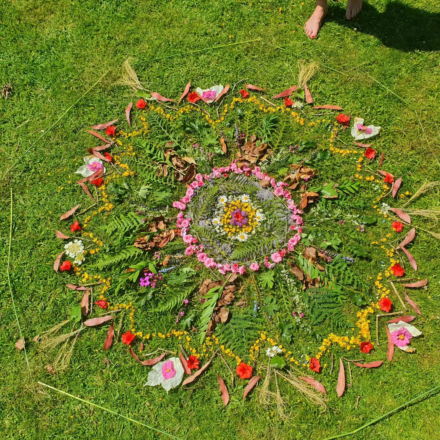 Forest School — forest school 3