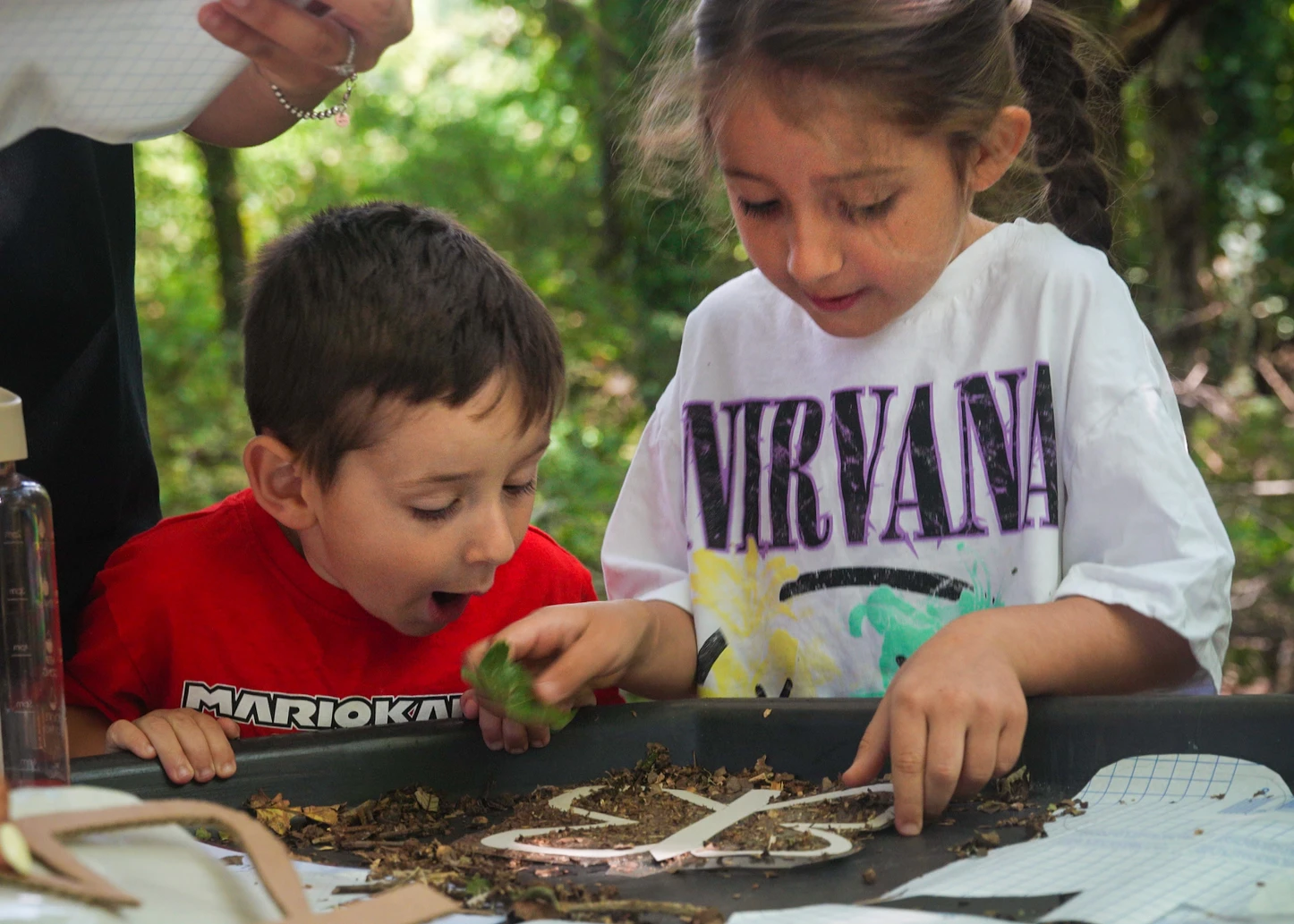 Forest School — Butterfly Table