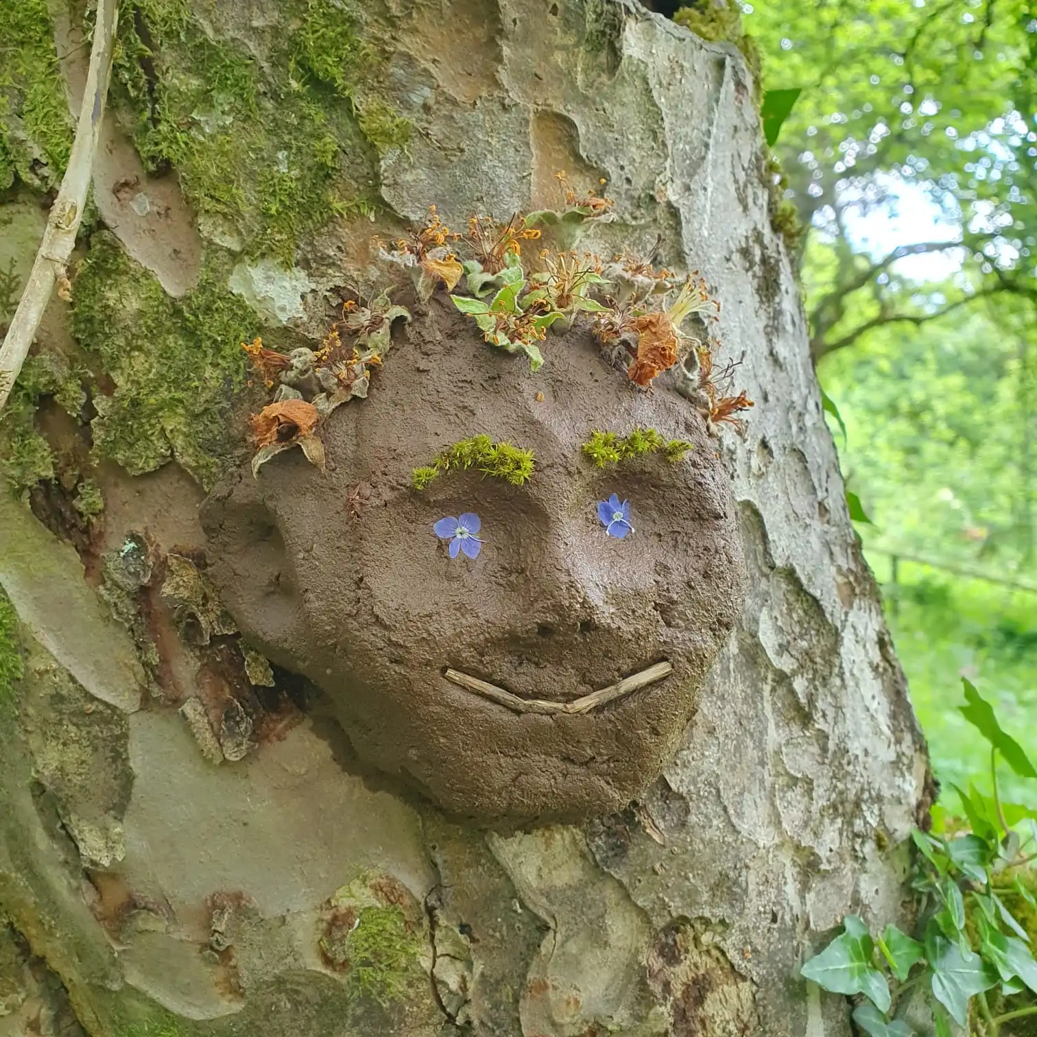 Forest School — forest school 1