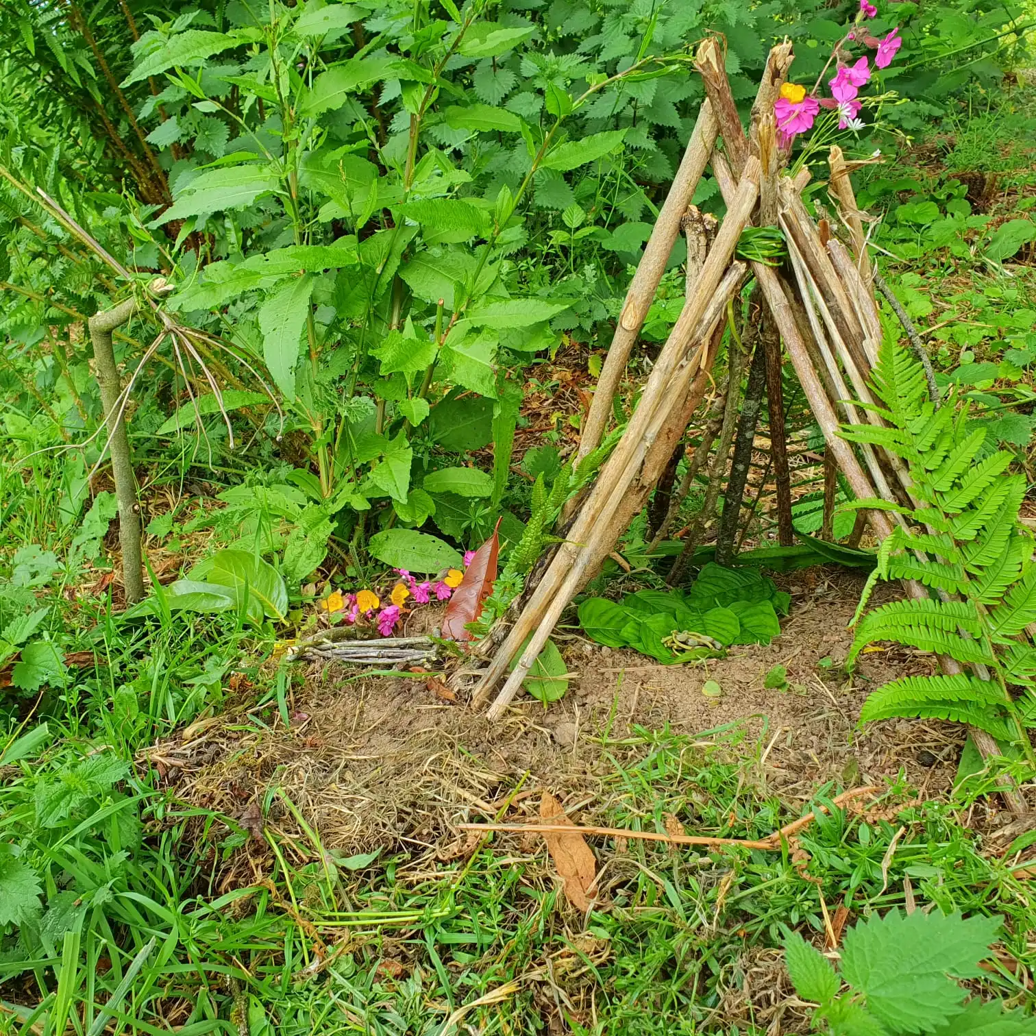 Forest School — forest school 6