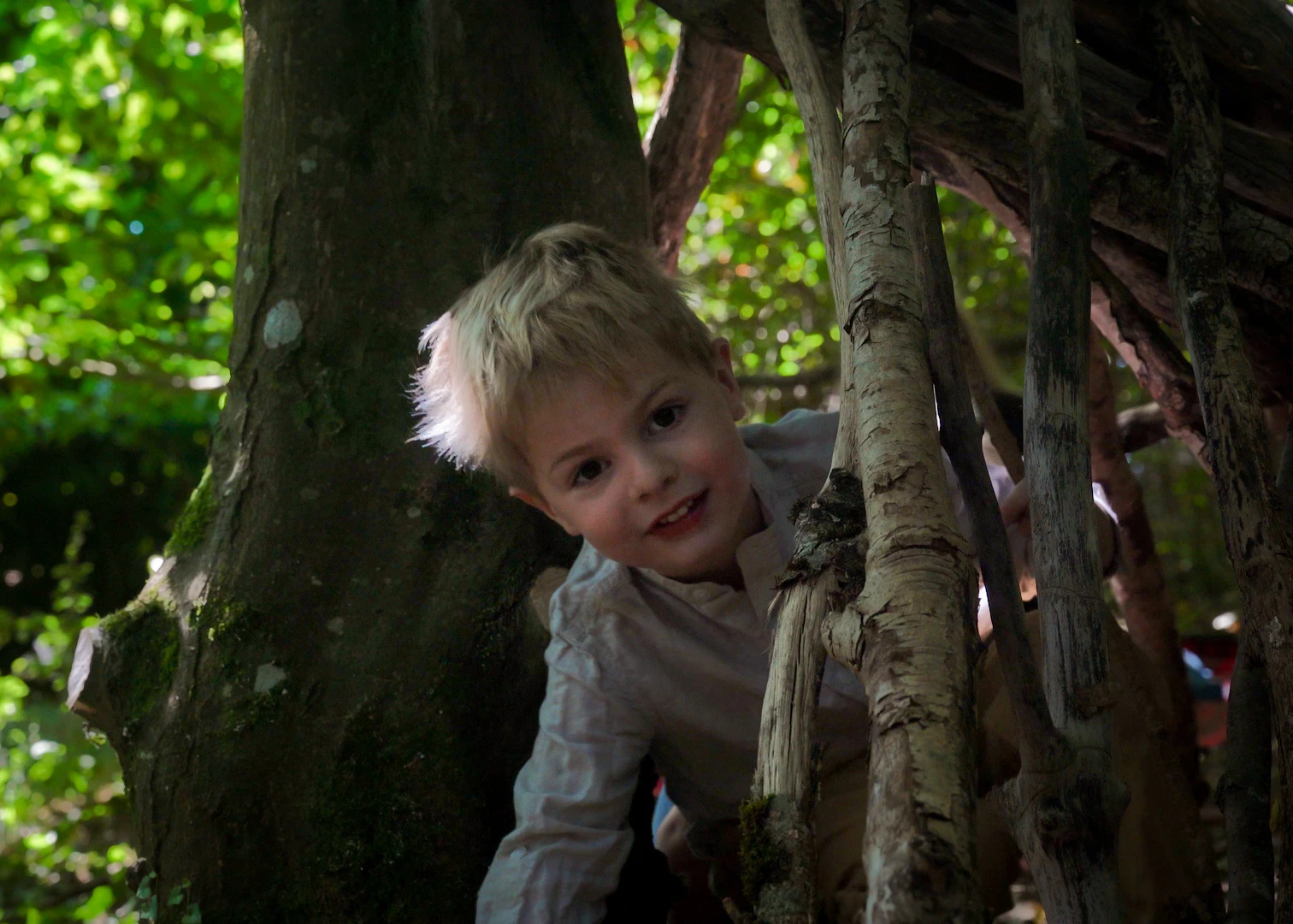Forest School — Tree Den