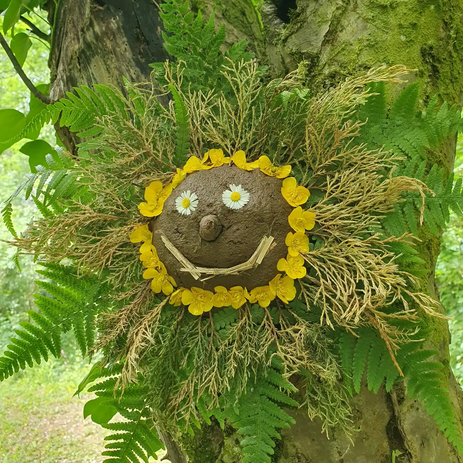 Forest School — forest school 2