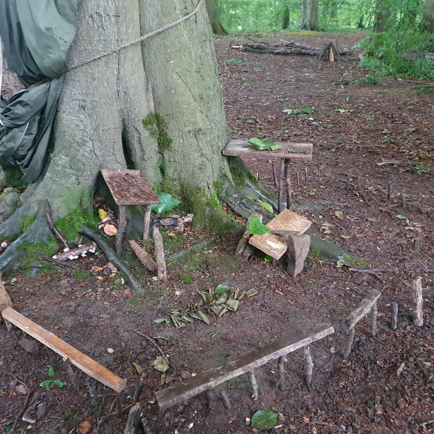 Forest School — forest school 4